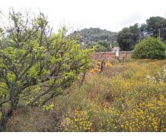 Alcanar Playa, Parcela de 400 mts.