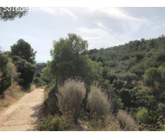 Finca Rustica Ideal para cazadores
