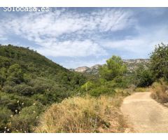 Finca Rustica Ideal para cazadores