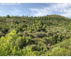 Finca Rustica Ideal para cazadores