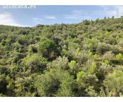 Finca Rustica Ideal para cazadores