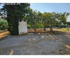 FINCA URBANIZABLE A 2 KM DE LA RAPITA
