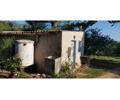 FINCA DE 3 HECTAREAS CON ALMACEN DE 24 M2, LUZ Y AGUA