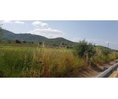 FINCA EN LA RAPITA COLINDANTE CON N-340