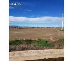 FINCA RUSTICA