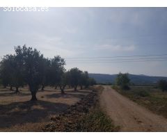 LA GALERA FINCA CON AGUA Y CASA 15m2 AMPLIABLES A 40 m2