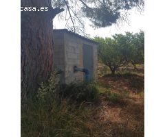 LA GALERA FINCA CON AGUA Y CASA 15m2 AMPLIABLES A 40 m2