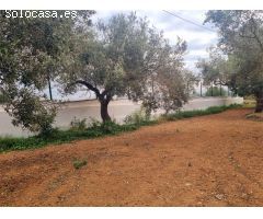 FINCA RUSTICA EN VENTA