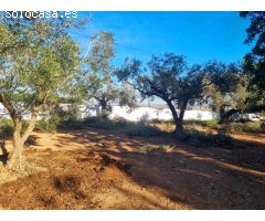 FINCA RUSTICA EN VENTA