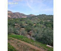 FINCA RÚSTICA EN ALCANAR