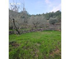 FINCA RÚSTICA EN ALCANAR
