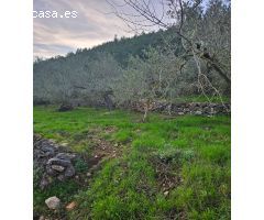FINCA RÚSTICA EN ALCANAR