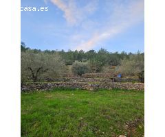 FINCA RÚSTICA EN ALCANAR