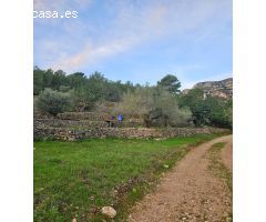 FINCA RÚSTICA EN ALCANAR
