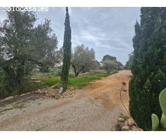 FINCA RÚSTICA CON CASA EN LA RAPITA
