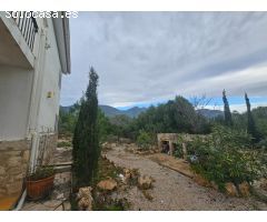 FINCA RÚSTICA CON CASA EN LA RAPITA