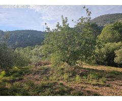 FINCA RÚSTICA EN MONTSIA