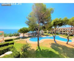 Planta Baja, en 1ª Linea de Mar,  de 2 Dormitorios, Baño, Terraza, Jardin, y Piscina Comunitaria