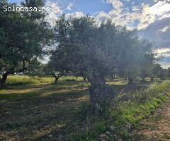 FINCA RÚSTICA