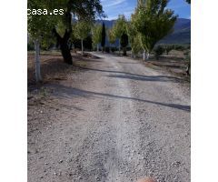 FINCAS DE OLIVARES Y GANADOS EN JAEN