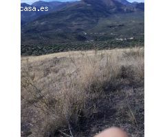 FINCAS DE OLIVARES Y GANADOS EN JAEN
