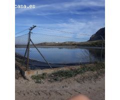 FINCAS DE OLIVARES Y GANADOS EN JAEN