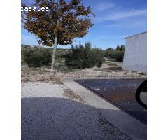 FINCAS DE OLIVARES Y GANADOS EN JAEN