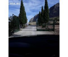 FINCAS DE OLIVARES Y GANADOS EN JAEN