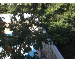 Chalet en Venta en Bedmar Y Garciez, Jaén