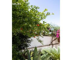 Venta villa en San Pedro de Alcantara