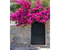 Venta villa en San Pedro de Alcantara
