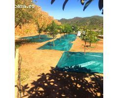 Venta de chalet en entorno privilegiado como es la Urbanización Residencial Alfinach