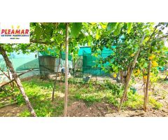 CASA RUSTICA CON TERRENO        ZONA AVDA DE ROTA