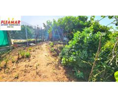 CASA RUSTICA CON TERRENO        ZONA AVDA DE ROTA