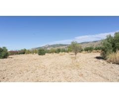 Solar en Venta en El Bonillo, Alicante