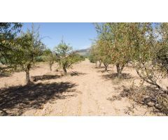Solar en Venta en El Bonillo, Alicante