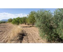 Solar en Venta en El Bonillo, Alicante