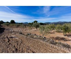 ESTUPENDA FINCA CON UN CHALET EN ONIL !!