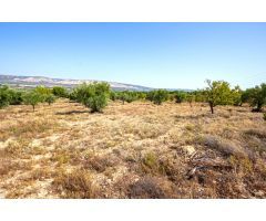 Parcela Rústica de 10.080m2 para construir tu chalet en Biar (Alicante)