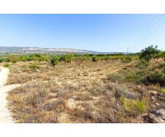 PARCELA DE 11.760 M2 A LA VENTA EN BIAR!!!