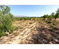 PARCELA DE 11.760 M2 A LA VENTA EN BIAR!!!