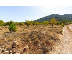 PARCELA DE 11.760 M2 A LA VENTA EN BIAR!!!