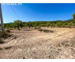 FINCA RUSTICA EN EL CORAZON DE LA MONTAÑA  DE CASTALLA