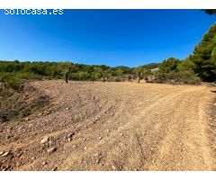 FINCA RUSTICA EN EL CORAZON DE LA MONTAÑA  DE CASTALLA