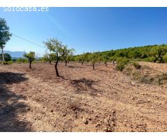 FINCA RUSTICA EN EL CORAZON DE LA MONTAÑA  DE CASTALLA