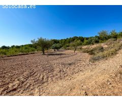 FINCA RUSTICA EN EL CORAZON DE LA MONTAÑA  DE CASTALLA