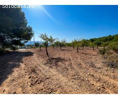 FINCA RUSTICA EN EL CORAZON DE LA MONTAÑA  DE CASTALLA
