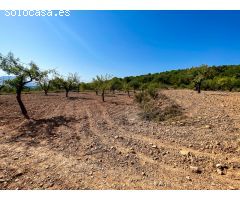 FINCA RUSTICA EN EL CORAZON DE LA MONTAÑA  DE CASTALLA