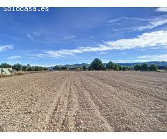 EXCLUSIVA PARCELA DE SUELO RUSTICO E INDUSTRIAL EN IBI