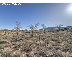FINCA DE TIERRA SECANA EN PARTIDA EN BIAR ZONA EL COTO